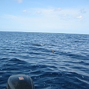 Picture 021